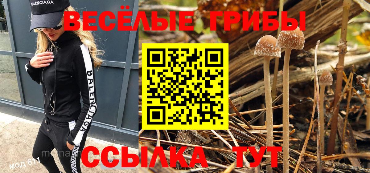 Псилоцибиновые грибы GOLDEN TEACHER Чапаевск
