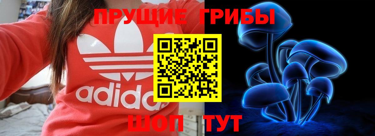 Галлюциногенные грибы Cubensis  Галлюциногенные грибы мицелий  Вход с VPN  Чапаевск 